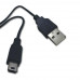 2 Ft Type B-Mini USB Cable